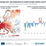 Julio fue el segundo julio más cálido registrado a nivel mundial y el calor intensificó los incendios en Europa
