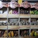 La agricultura cubana, otro sector que languidece por la crisis