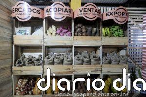 La agricultura cubana, otro sector que languidece por la crisis
