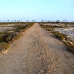 La Audiencia Nacional rechaza limitar a 20 metros parte de la servidumbre de protección en Roquetas de Mar (Almería)