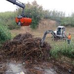 La CHS intensifica el mantenimiento de cauces del Segura con actuaciones contra la vegetación invasora