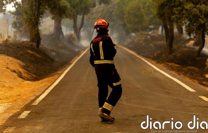 La Comunidad envía cinco dotaciones terrestres y tres helicópteros a los incendios de Segovia