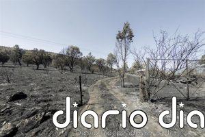La Comunidad ya está formalmente personada como acusación popular en la causa por el incendio forestal de Lozoyuela
