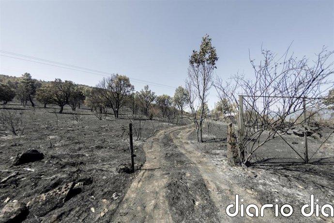 La Comunidad ya está formalmente personada como acusación popular en la causa por el incendio forestal de Lozoyuela