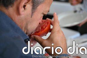 La Diputación de Málaga impulsa un año más la tradicional subasta del tomate Huevo de Toro en Coín