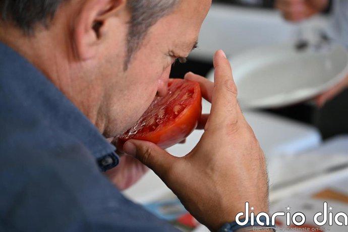 La Diputación de Málaga impulsa un año más la tradicional subasta del tomate Huevo de Toro en Coín