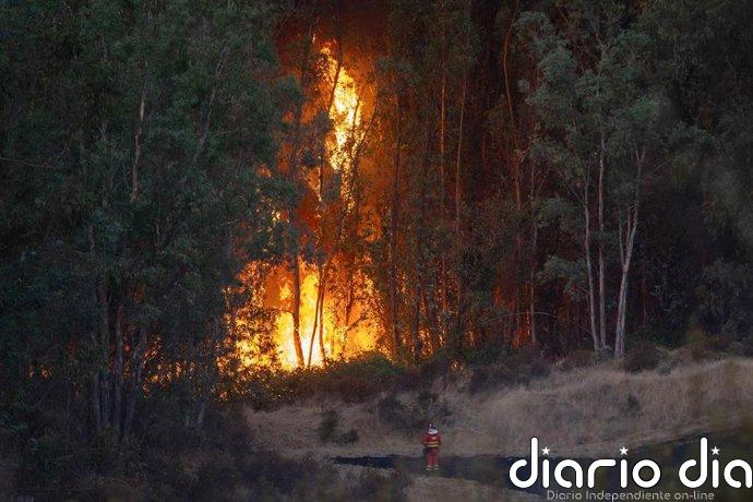 La EMA comunica el desalojo preventivo de 340 personas ante la evolución del incendio de Niebla (Huelva)