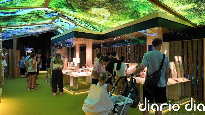 La exposición de los tesoros de Colombia roza los 19.000 visitantes durante su primer mes en el MARQ