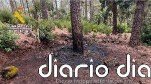 La Guardia Civil detiene en apenas una hora al autor de un conato de incendio en El Tanque (Tenerife)