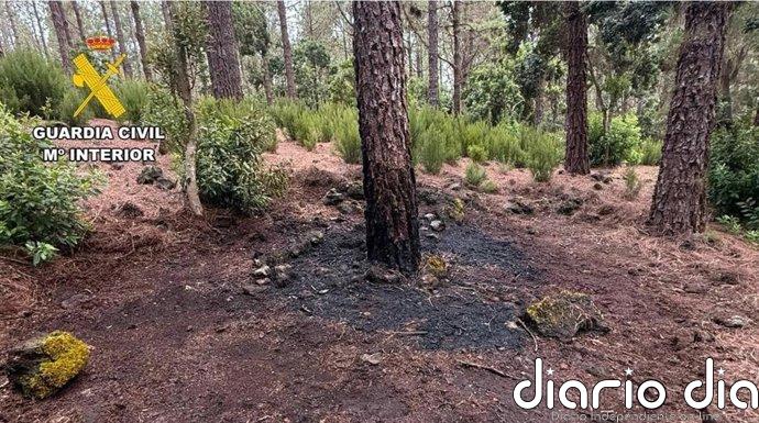 La Guardia Civil detiene en apenas una hora al autor de un conato de incendio en El Tanque (Tenerife)