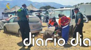 La Guardia Civil sigue desplegada en la rave de La Granja para impedir la llegada de nuevos asistentes