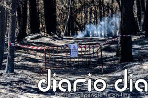La Junta da por controlado el incendio de Burgohondo (Ávila) que baja a nivel 0