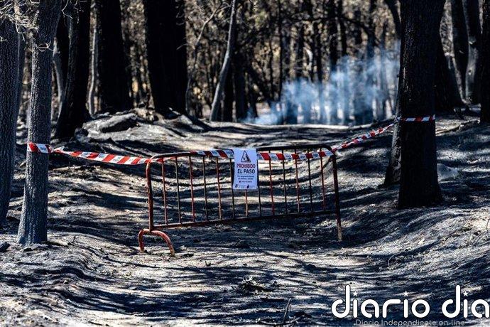La Junta da por controlado el incendio de Burgohondo (Ávila) que baja a nivel 0