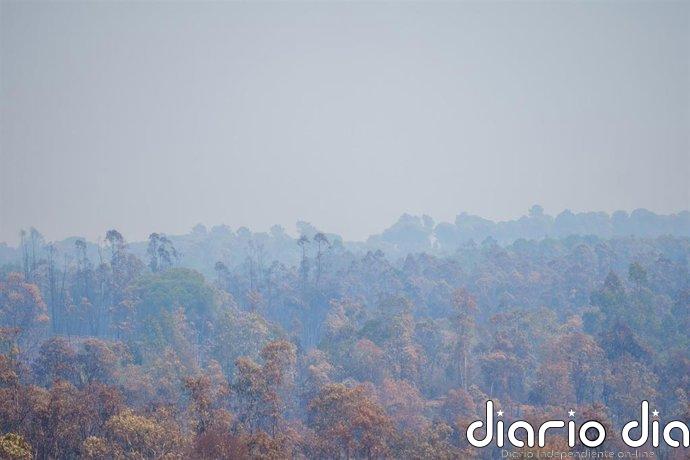 La Junta mantiene la vigilancia de la calidad del aire por el incendio de Niebla (Huelva)