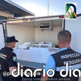 La Policía Adscrita y la Inspección Pesquera de la Junta de Andalucía incautan 264 kilos de pescado inmaduro