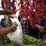 La producción ecológica del Pimiento de Gernika se incorpora a la Indicación Geográfica Protegida