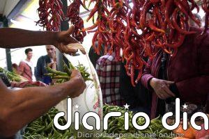 La producción ecológica del Pimiento de Gernika se incorpora a la Indicación Geográfica Protegida