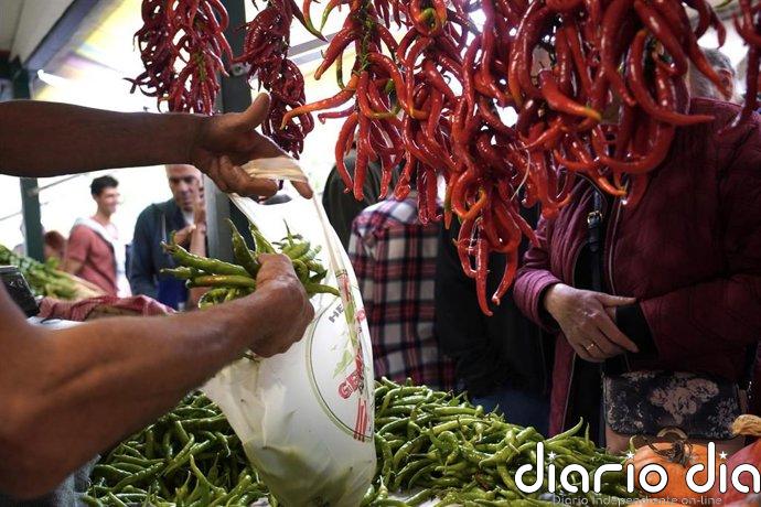 La producción ecológica del Pimiento de Gernika se incorpora a la Indicación Geográfica Protegida