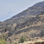 La Red Aragonesa de Desarrollo Rural exige ayudas urgentes para los emprendedores afectados por los incendios forestales