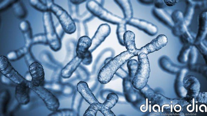 La secuenciación completa del genoma logra diagnosticar el 23% de las enfermedades raras estudiadas