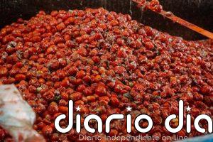 La Tomatina de Buñol (Valencia) contará con 150.000 kilos de tomates, 30.000 kilos más que en 2025