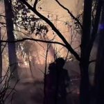 La UME trabaja durante toda la noche para evitar que las llamas avancen en el barranco Carbonera