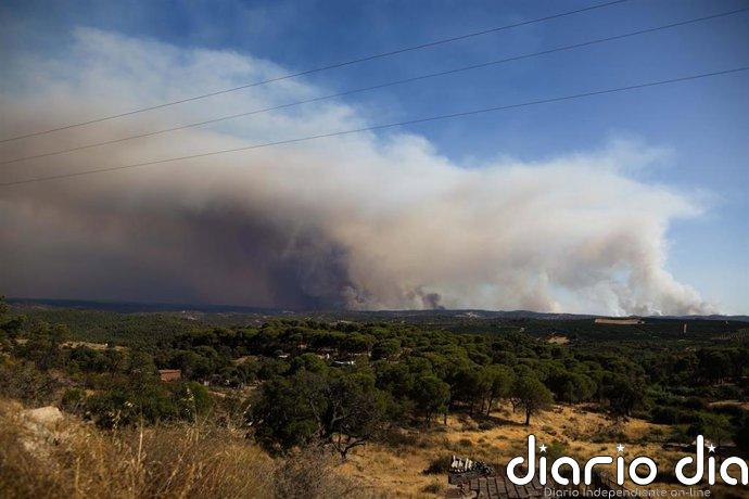 La zona norte del incendio de Niebla (Huelva) queda consolidada tras una semana: "Hemos ganado la batalla"