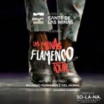 'Las Minas Flamenco Tour' reunirá en Cartagena a los máximos galardonados del Cante de las Minas