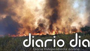 Los afectados por el incendio de Puerto Calatraveño en Córdoba, que en 2021 arrasó 513 hectáreas, acuerdan indemnización