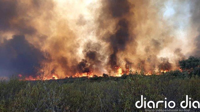 Los afectados por el incendio de Puerto Calatraveño en Córdoba, que en 2021 arrasó 513 hectáreas, acuerdan indemnización