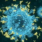 Los anticuerpos monoclonales podrían ayudar a combatir las bacterias resistentes a los antibióticos