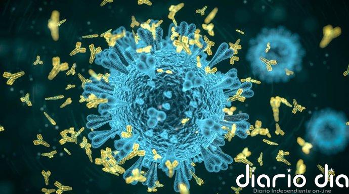 Los anticuerpos monoclonales podrían ayudar a combatir las bacterias resistentes a los antibióticos