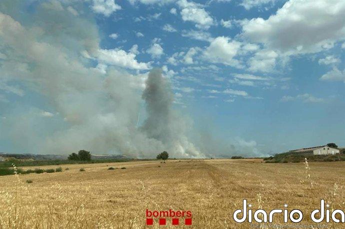 Los Bombers trabajan con 11 dotaciones en un incendio en un campo segado de Agramunt (Lleida)