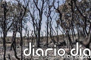 Los incendios forestales han calcinado ya más de 186.544 hectáreas en 2026, con 38 grandes fuegos registrados