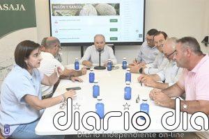 Los precios del melón se recuperan, aunque todavía no son rentables para los productores