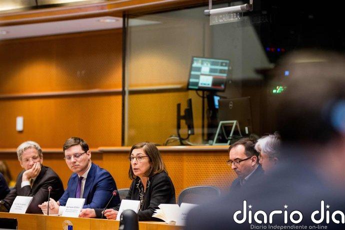 Los socialdemócratas recriminan la postura de Italia y la Comisión UE sobre la crisis migratoria en Ceuta