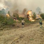 Más de 600 efectivos luchan contra el incendio de Riglos (Huesca), que afecta a más de 12.000 hectáreas