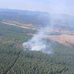 Más de una veintena de medios trabajan para sofocar un incendio en La Ercina (León)