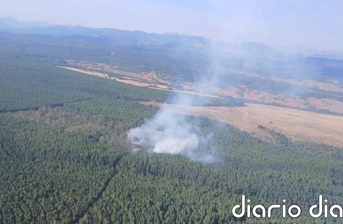 Más de una veintena de medios trabajan para sofocar un incendio en La Ercina (León)