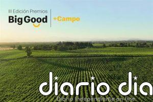 McDonald's alcanza las 100 candidaturas en los Premios Big Good en la recta final de su III edición