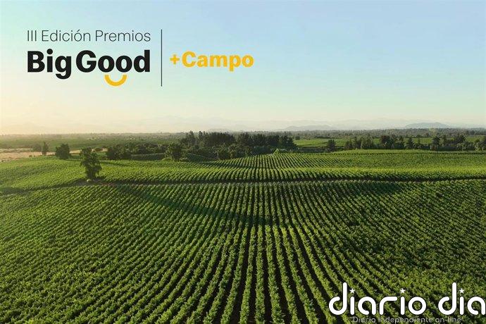 McDonald's alcanza las 100 candidaturas en los Premios Big Good en la recta final de su III edición