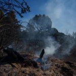 Medios aéreos se suman a las labores de extinción del incendio de Lucena (Huelva) al reactivarse pequeños focos