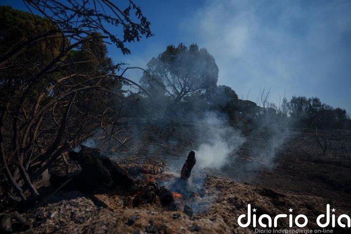 Medios aéreos se suman a las labores de extinción del incendio de Lucena (Huelva) al reactivarse pequeños focos