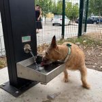 Murcia supera el medio centenar de zonas caninas con la apertura de un nuevo espacio en Espinardo
