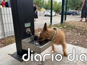 Murcia supera el medio centenar de zonas caninas con la apertura de un nuevo espacio en Espinardo