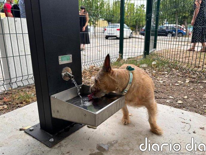 Murcia supera el medio centenar de zonas caninas con la apertura de un nuevo espacio en Espinardo