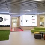 Navarra invertirá 2,5 millones en 2027 para ser referente en Europa en biología sintética y biotecnología