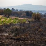 "Normalidad" en el incendio de Burgohondo (Ávila), en el que no se esperan reproducciones significativas esta noche