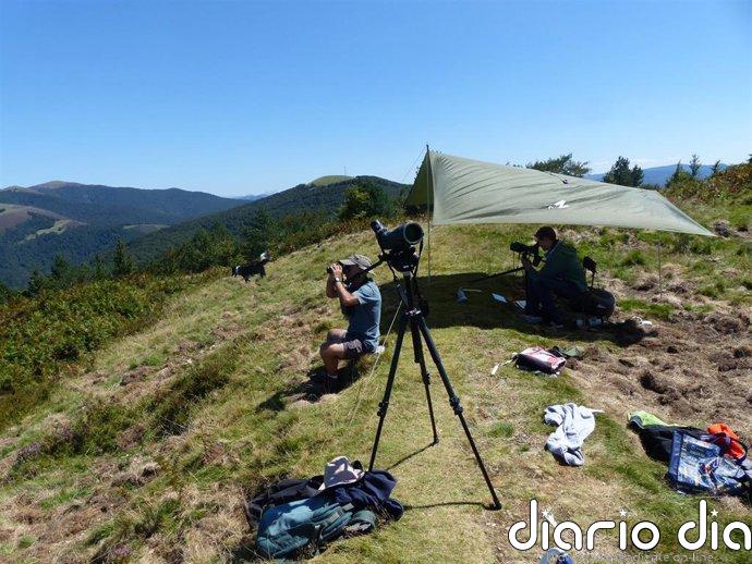 Ornitólogos expertos registrarán la reacción al eclipse de aves migradoras europeas a su paso por Navarra
