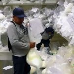 Perú destruye más de nueve toneladas de droga incautada en una operación contra el narcotráfico